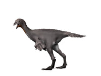 Avimimus Dinosaur Fine Art Print - Cretaceous Period