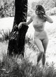 Anita Ekberg Tree Fine Art Photo Print - Multiple Sizes Available