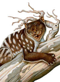 Thylacoleo: The Pleistocene Marsupial Lion Fine Art Print by H. Kyoht Luterman