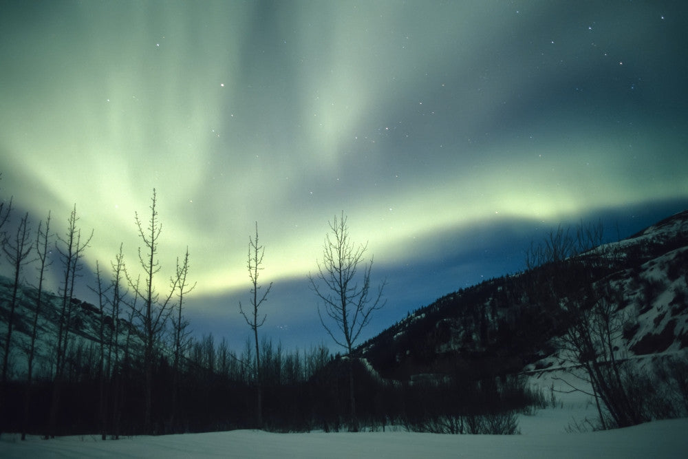 Northern Lights Winter Alaska Fine Art Print by Tom Soucek