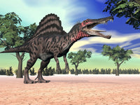 Spinosaurus Poster Print in Desert Landscape - Fine Art Print