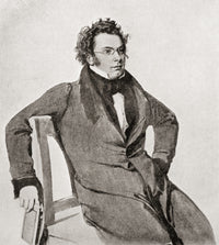 Franz Schubert Poster Print - Artwork by Wilhelm August Rieder