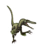 Velociraptor Fine Art Print on White Background