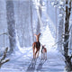 Christmas Magic Fine Art Poster Print by The Macneil Studio (12x12)