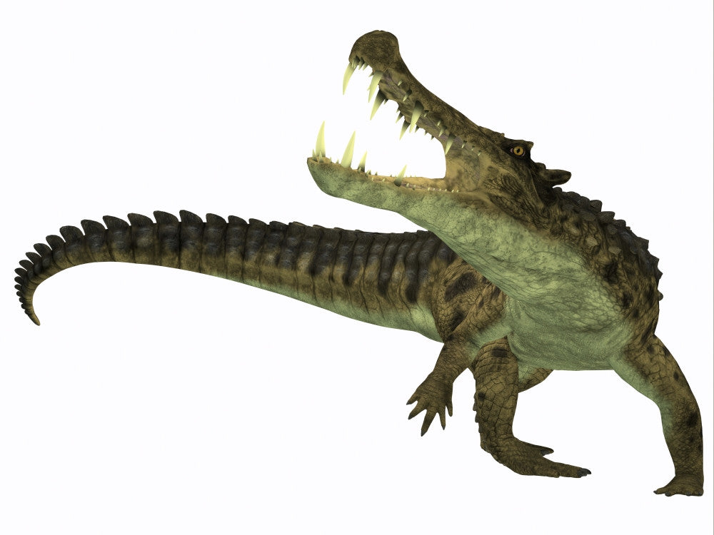 Kaprosuchus Extinct Crocodile Fine Art Print from Niger