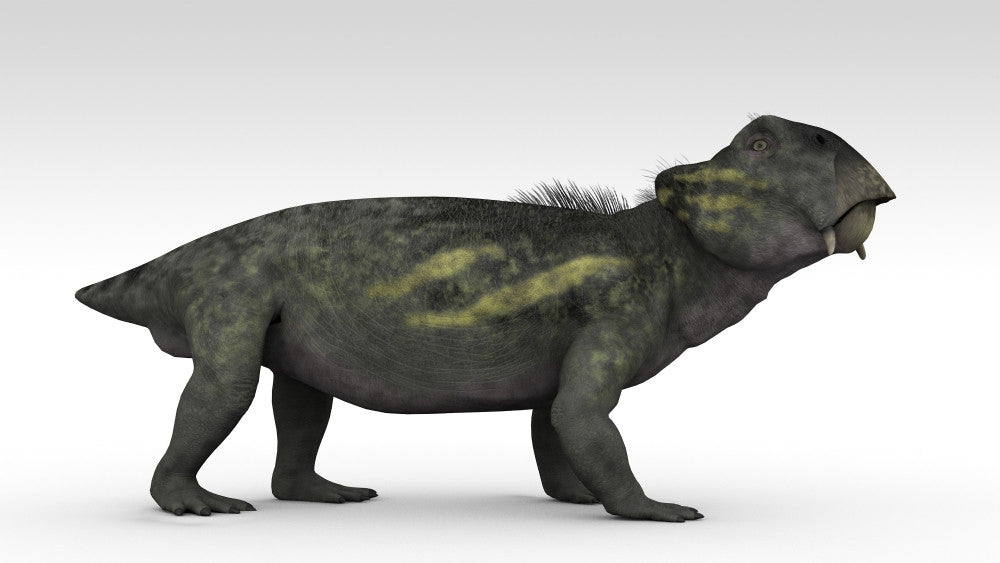 Lystrosaurus Fine Art Print - A Unique Therapsid Artwork