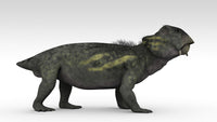 Lystrosaurus Fine Art Print - A Unique Therapsid Artwork