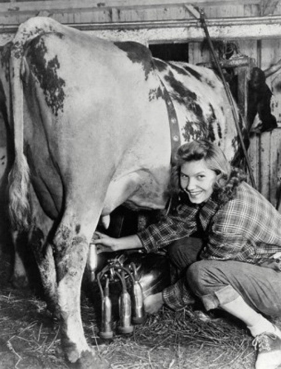 Portrait of a Young Woman Milking a Cow with a Milking Machine Fine Art Print