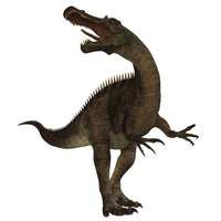 Suchomimus Fine Art Print - A Large Spinosaurid Dinosaur