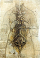 Da Vinci Female Anatomical Study Fine Art Print - 1507