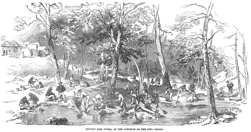 Australian Gold Rush 1851 Wood Engraving Print by Granger Collection