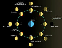 Phases of the Earth's Moon Diagram Fine Art Print by Ron Miller