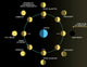 Phases of the Earth's Moon Diagram Fine Art Print by Ron Miller