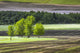 Serene Alberta Landscape Fine Art Print by Michael Interisano