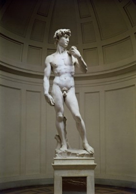 Michelangelo's David Marble Fine Art Print - Academy of Fine Arts