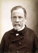 Louis Pasteur Fine Art Print - Nadar Photography (1889)