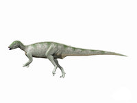 Hypsilophodon foxii Fine Art Print - Early Cretaceous of England