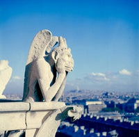 Notre Dame Cathedral Gargoyle Fine Art Print - Paris, France
