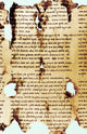 Dead Sea Scroll Fine Art Print by Science Source