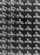 Edison: Sneeze, 1894 - Kinetoscope Record Fine Art Print