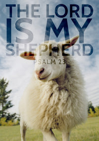 Sheep with Psalm 23 Scripture Fine Art Print by Tim Antoniuk