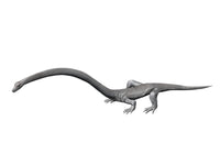 Tanystropheus Fine Art Print from the Middle Triassic Period