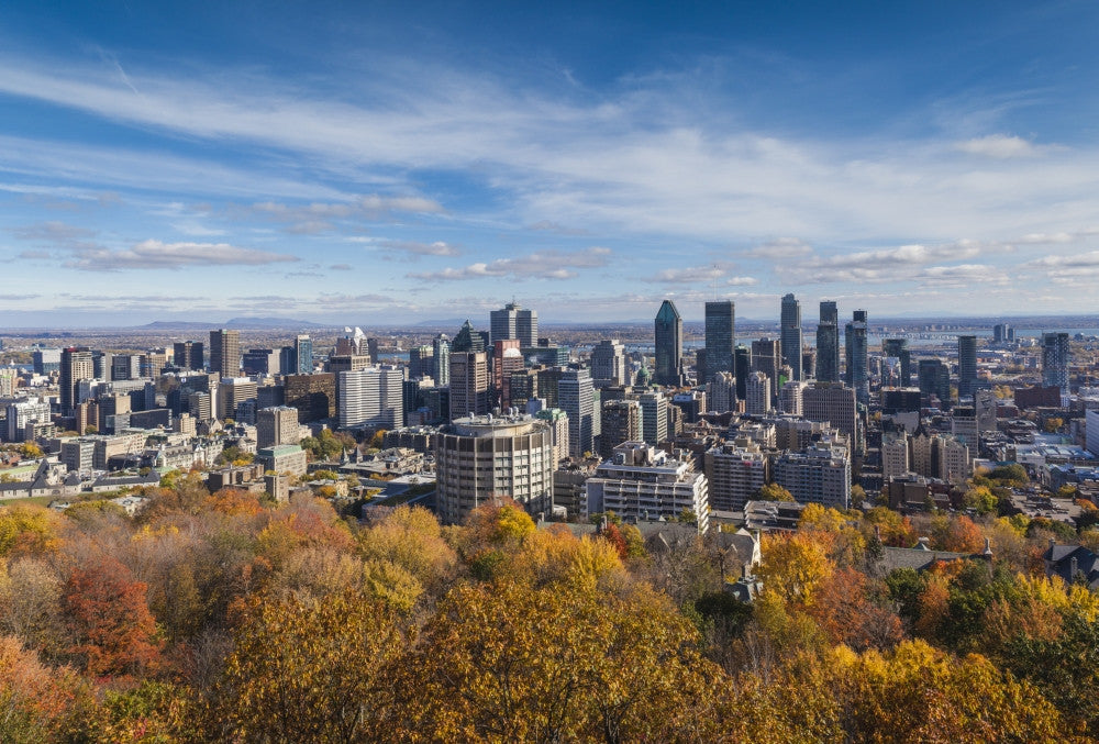 Montreal City Skyline from Mount Royal Fine Art Print by Walter Bibikow