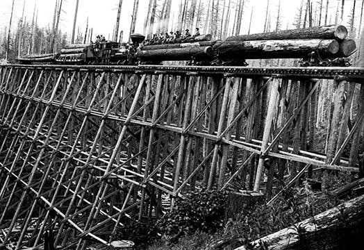 Darius Kinsey Logging Industry Fine Art Print | Posterazzi