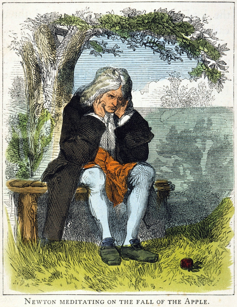 Isaac Newton Meditating Under a Tree - Fine Art Print