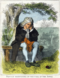 Isaac Newton Meditating Under a Tree - Fine Art Print