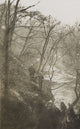 Theodore Roosevelt Hiking in a Wooded Area Poster Print
