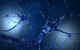 Conceptual Neuron Fine Art Print - Available in Multiple Sizes