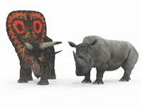 Torosaurus vs. White Rhinoceros Fine Art Print - 16x12 & 32x24
