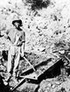 California Gold Rush 1852 Black Miner Prospecting Print by Granger Collection