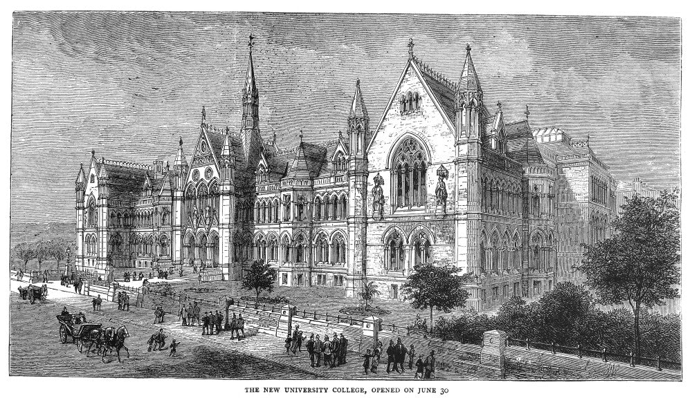 University College 1881 Fine Art Print - Contemporary Wood Engraving