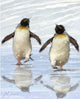 Dancing Penguins Fine Art Print by The Macneil Studio (16x20)