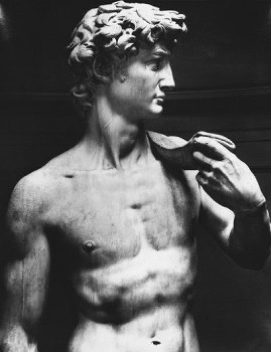 David Michelangelo Buonarroti Marble Fine Art Print