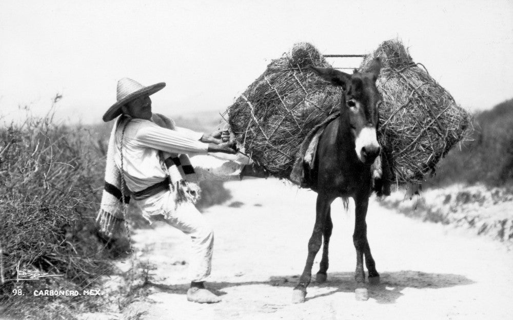 Mexico Peasant and Burro Fine Art Print by Granger Collection