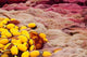 Commercial Fishing Nets with Floats in Port-Vendres Poster Print by Panoramic Images