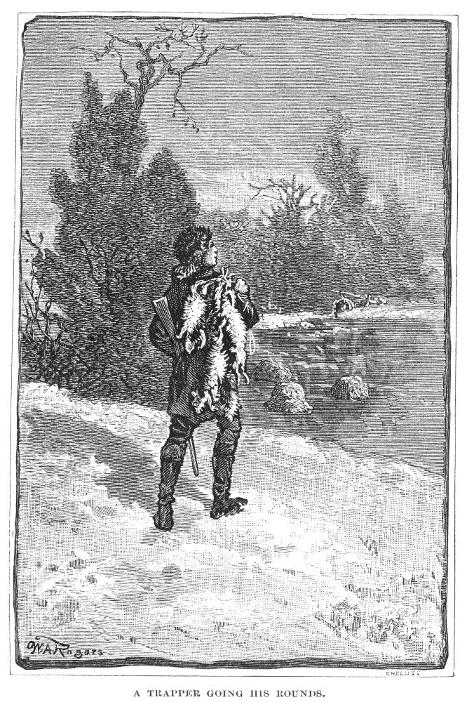 Hudson Bay Trapper 1879 Wood Engraving Fine Art Print by Granger Collection