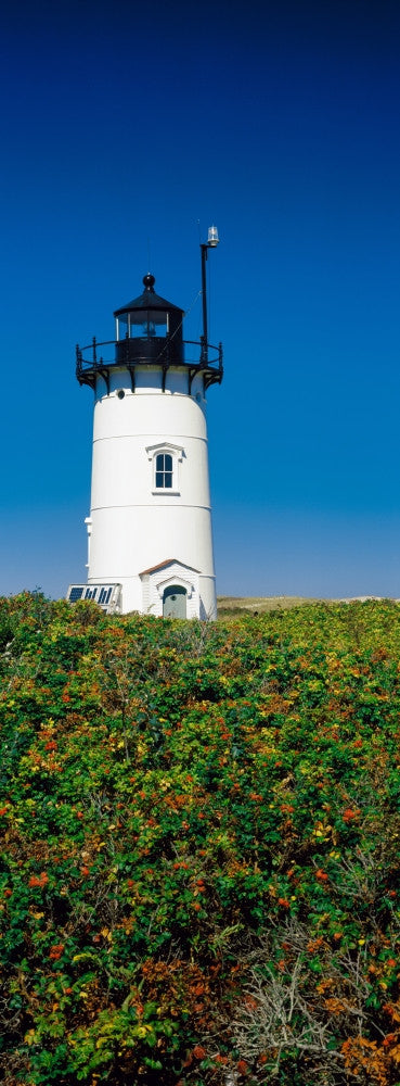 Race Point Light Lighthouse Poster Print - Cape Cod Artwork