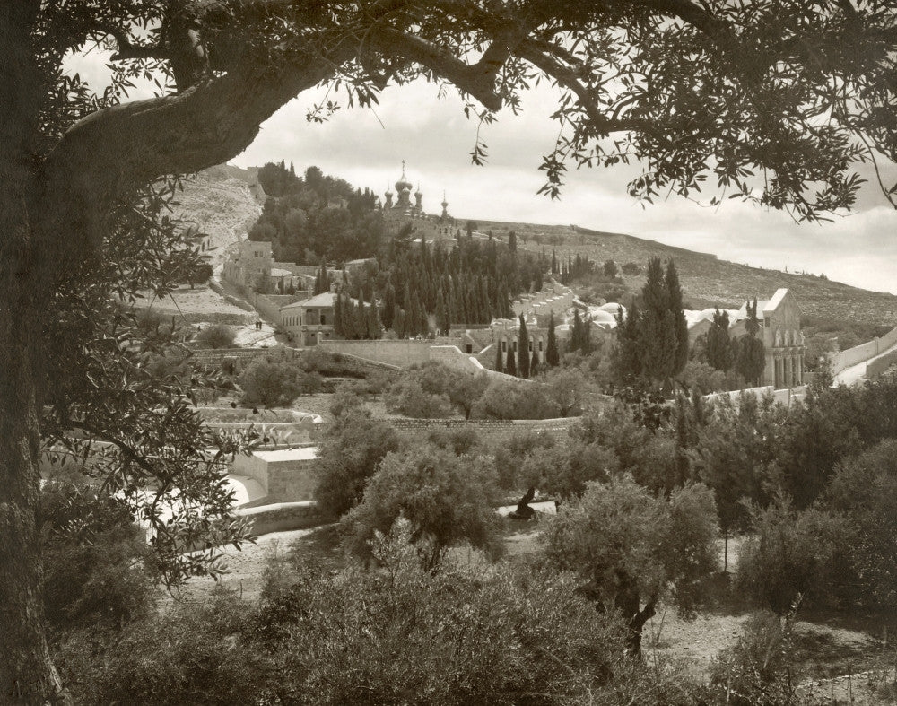Mount of Olives and Garden of Gethsemane Photograph Print