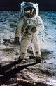 Apollo 11: Buzz Aldrin Fine Art Print - Edwin 'Buzz' Aldrin on the Moon