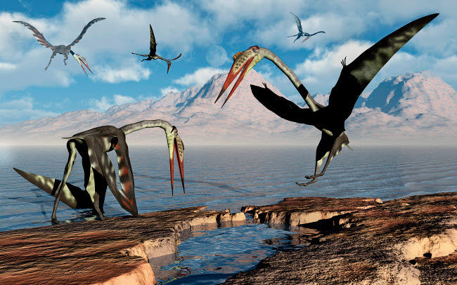 Quetzalcoatlus Flock Fine Art Print by Mark Stevenson