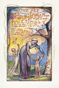 The Fly Color Relief Etching by William Blake - Songs of Experience Poster Print