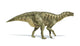 Iguanodon Dinosaur Poster Print on White Background