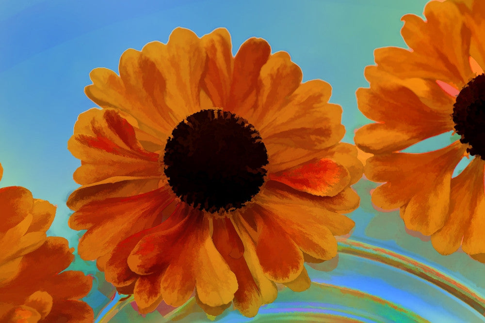 Zinnia Flower Abstract Fine Art Print by Jaynes Gallery