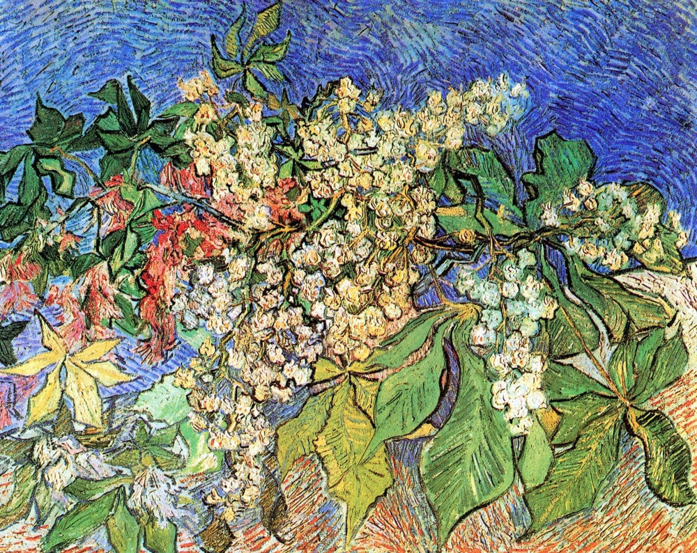 Blossoming Chestnut Branches Fine Art Print - Various Sizes