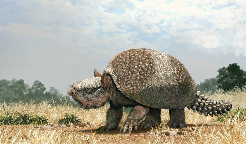 Glyptotherium Arizonae Fine Art Print - Pleistocene Megafauna