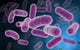 Conceptual Image of Bacteria Fine Art Print - Various Sizes